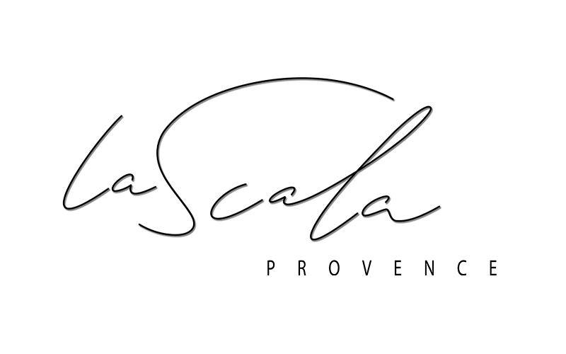 logo du théâtre la Scala partenaires du Frames Festival